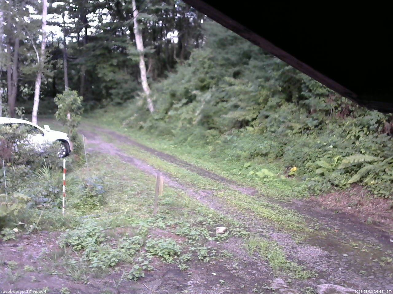 長野県菅平高原 ゆたか山荘 東側(坂下) 2025/08/13 16:45
