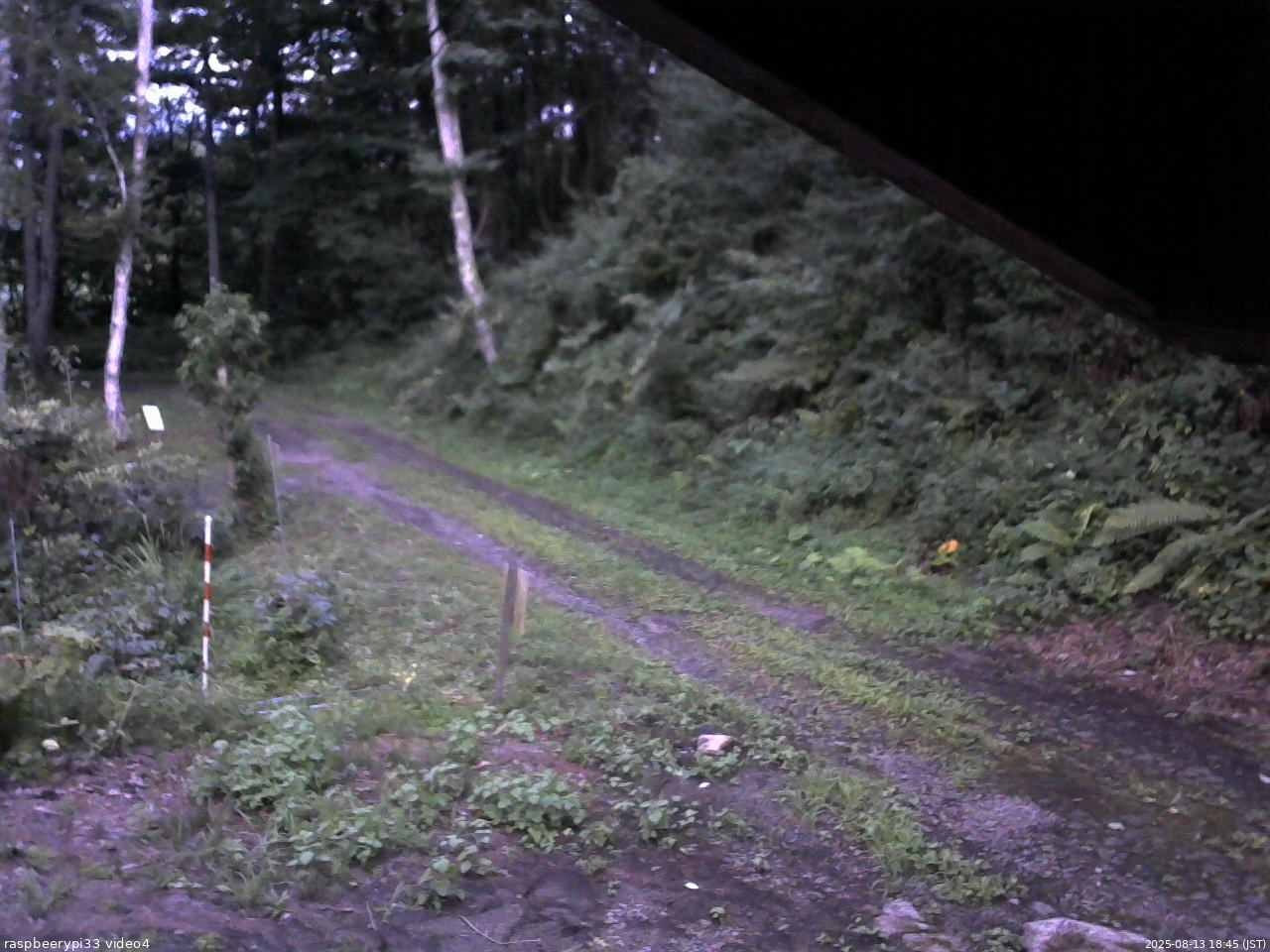 長野県菅平高原 ゆたか山荘 東側(坂下) 2025/08/13 18:45
