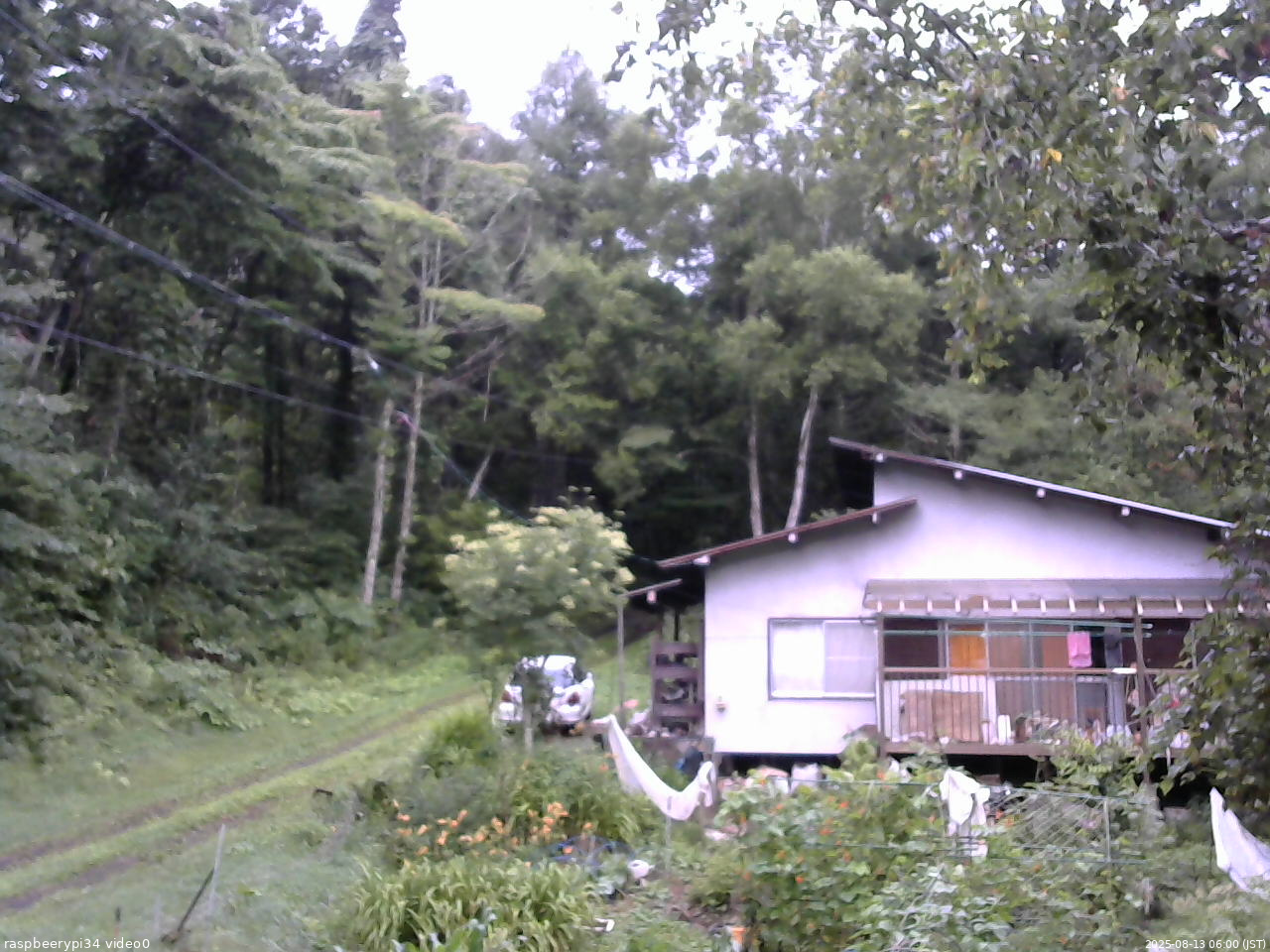 長野県菅平高原 ゆたか山荘 西側(坂上) 2025/08/13 06:00