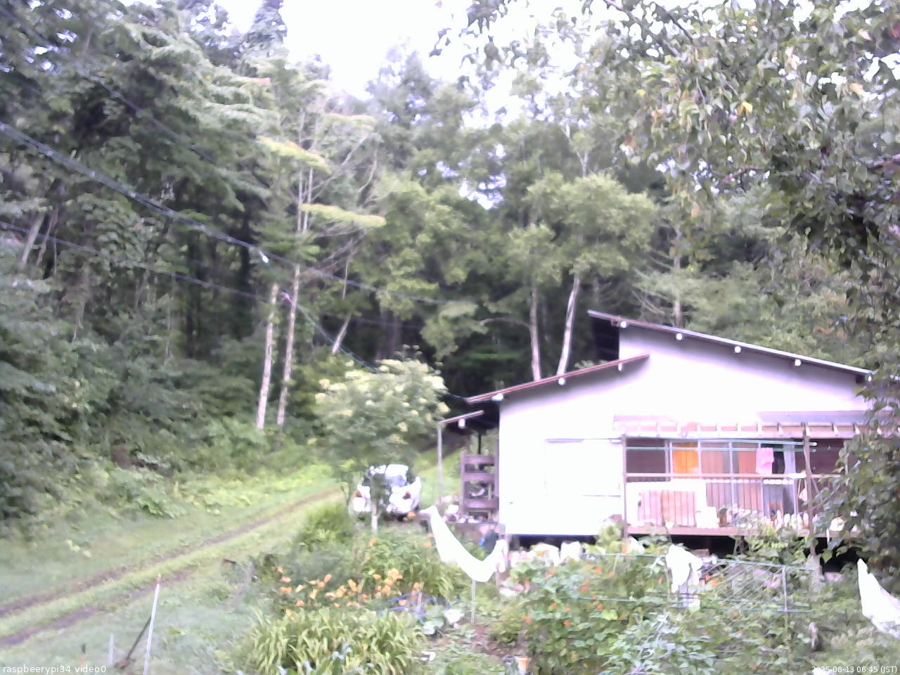 長野県菅平高原 ゆたか山荘 西側(坂上) 2025/08/13 06:45