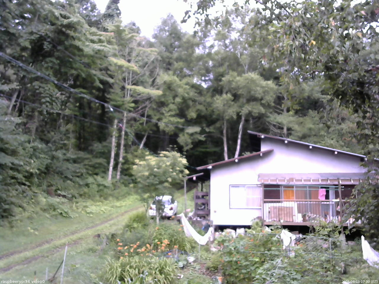 長野県菅平高原 ゆたか山荘 西側(坂上) 2025/08/13 07:30