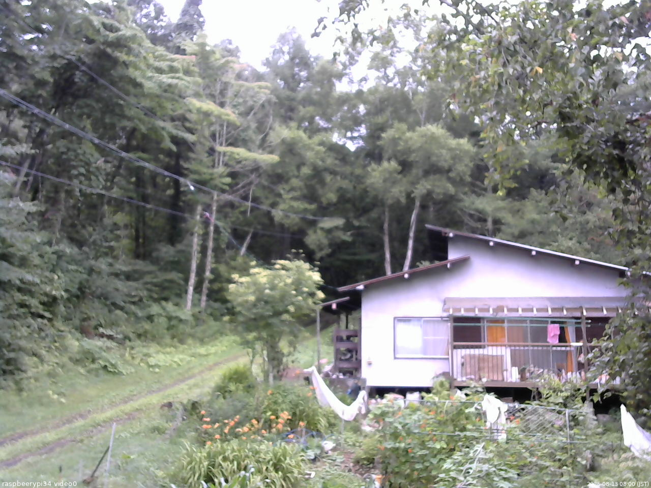 長野県菅平高原 ゆたか山荘 西側(坂上) 2025/08/13 08:00