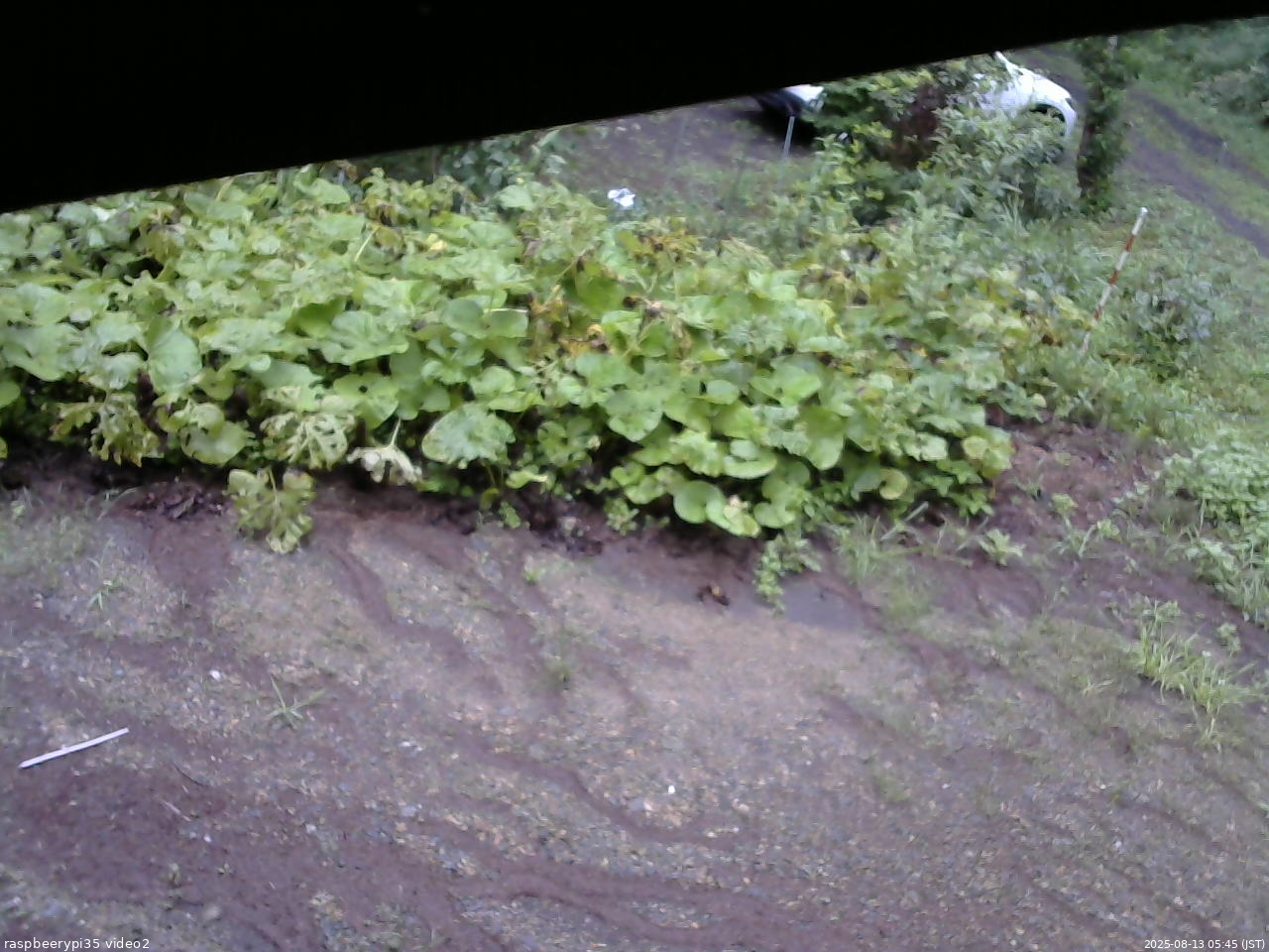 長野県菅平高原 ゆたか山荘 駐車場 2025/08/13 05:45
