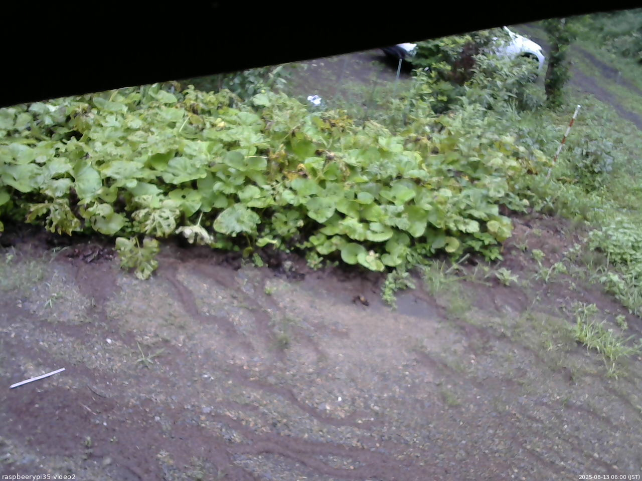 長野県菅平高原 ゆたか山荘 駐車場 2025/08/13 06:00