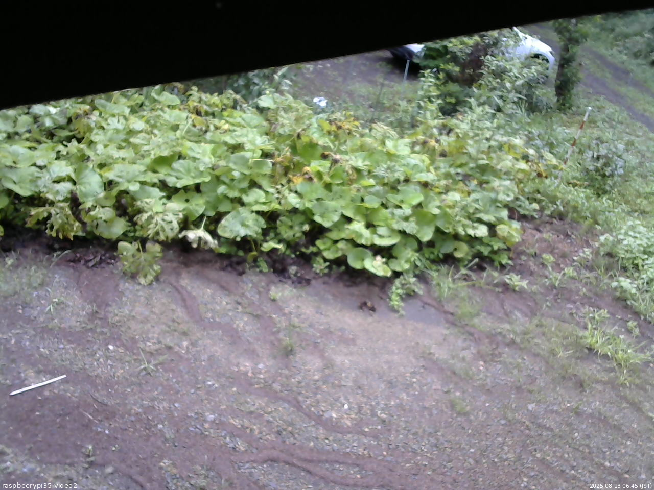 長野県菅平高原 ゆたか山荘 駐車場 2025/08/13 06:45