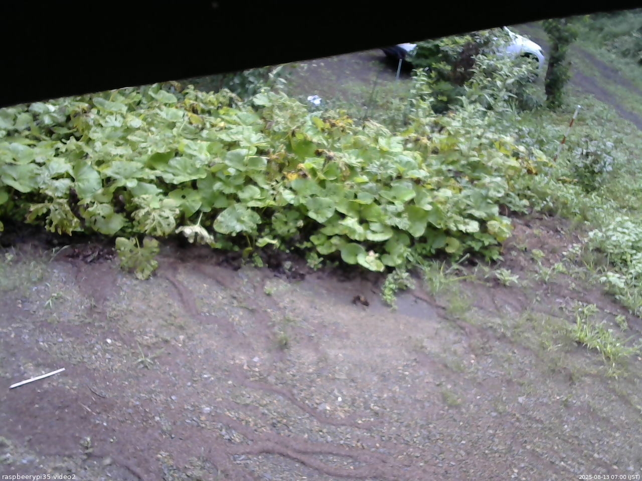 長野県菅平高原 ゆたか山荘 駐車場 2025/08/13 07:00