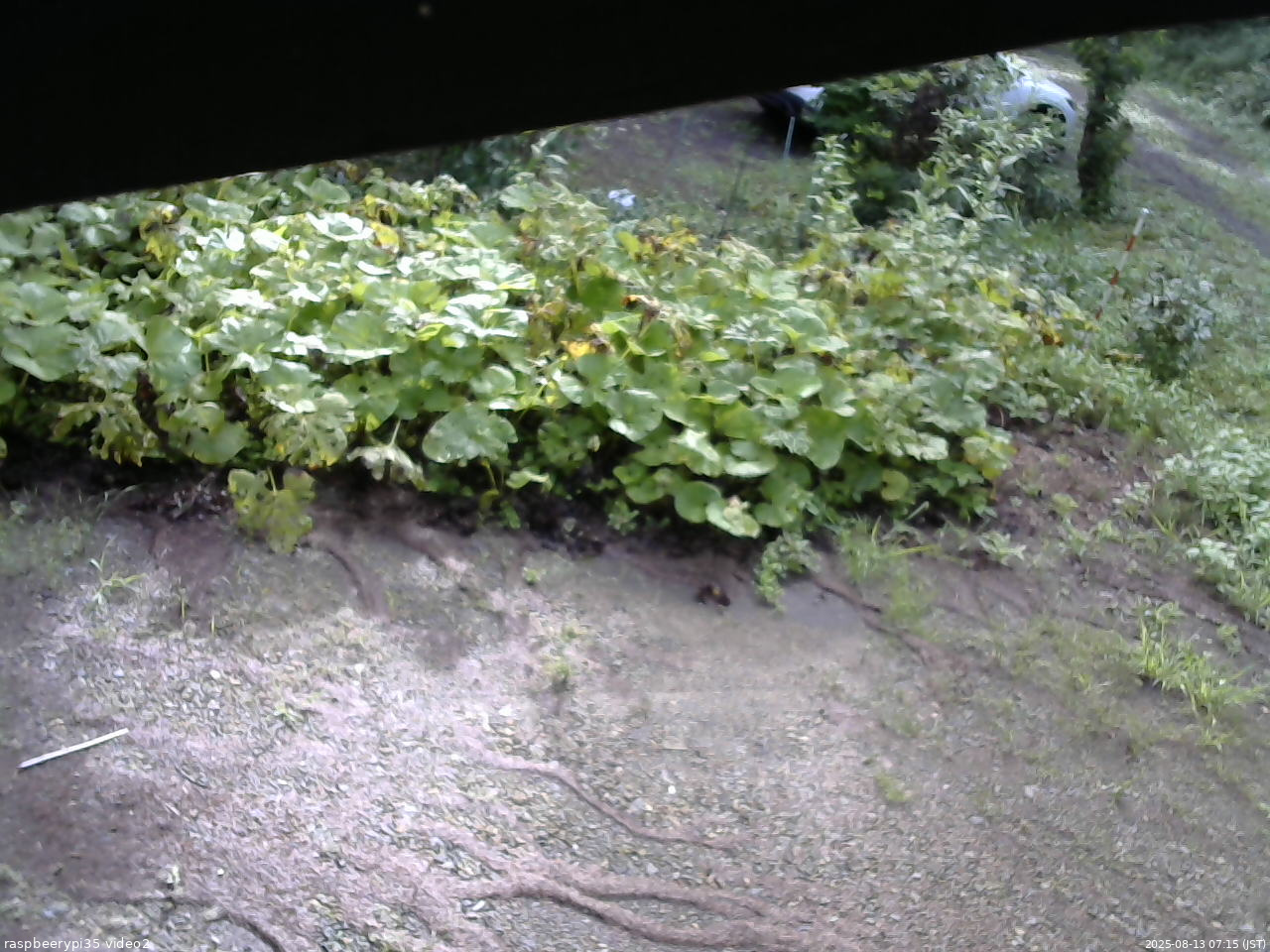 長野県菅平高原 ゆたか山荘 駐車場 2025/08/13 07:15