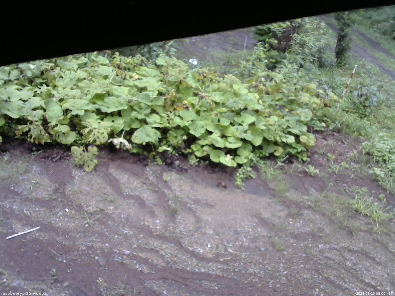 長野県菅平高原 ゆたか山荘 駐車場 2025/08/13 08:00