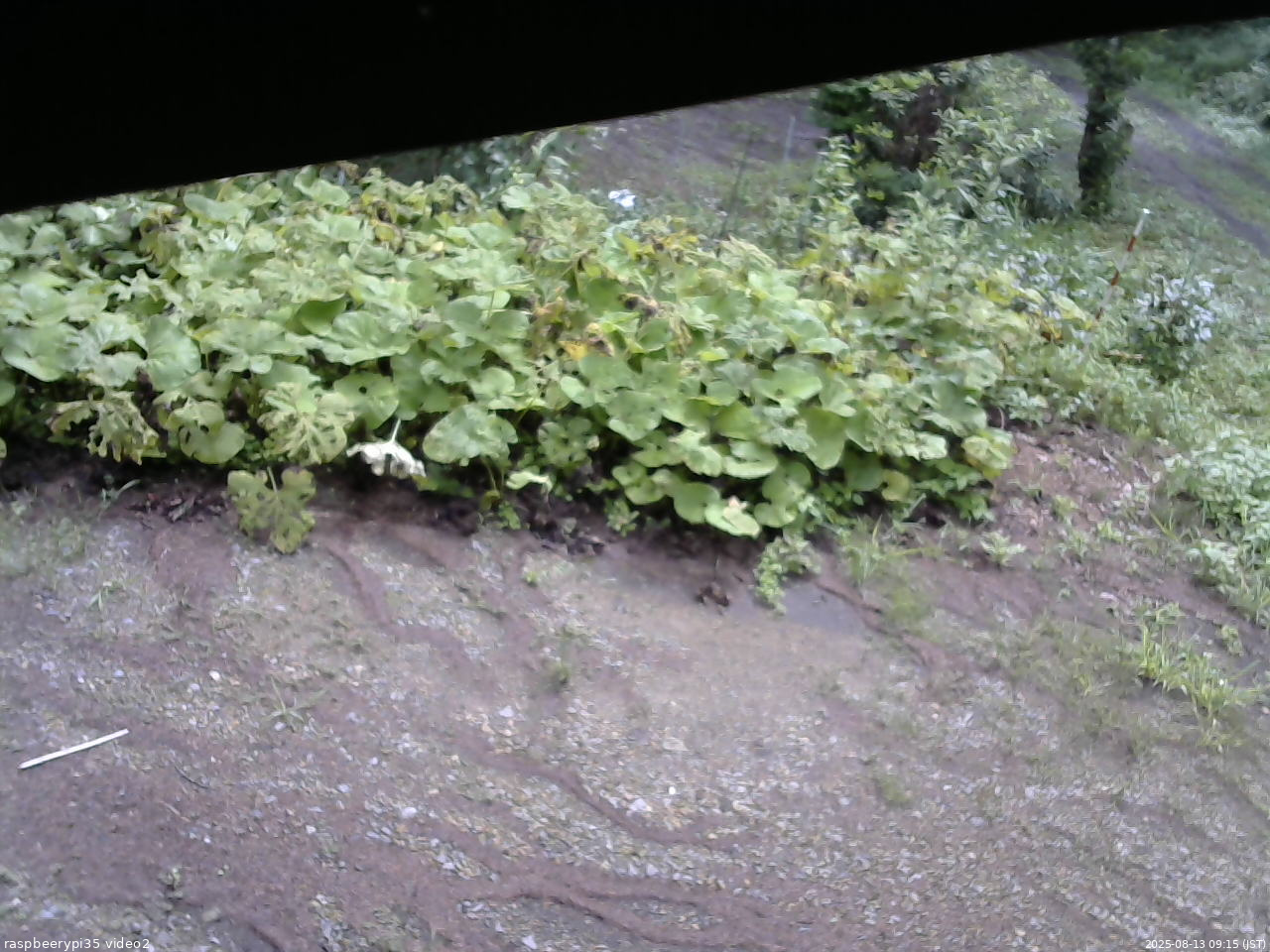 長野県菅平高原 ゆたか山荘 駐車場 2025/08/13 09:15