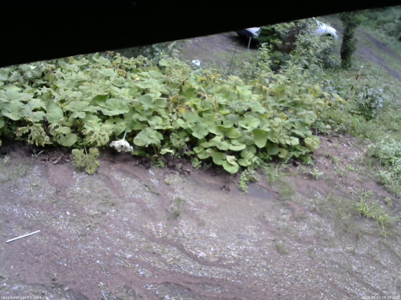 長野県菅平高原 ゆたか山荘 駐車場 2025/08/13 10:15