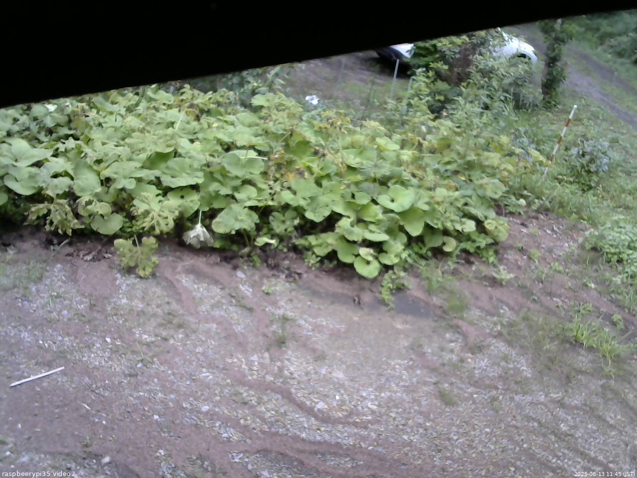 長野県菅平高原 ゆたか山荘 駐車場 2025/08/13 11:45