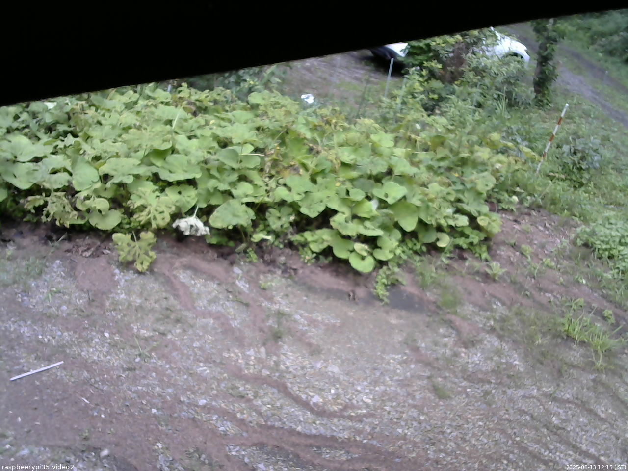 長野県菅平高原 ゆたか山荘 駐車場 2025/08/13 12:15