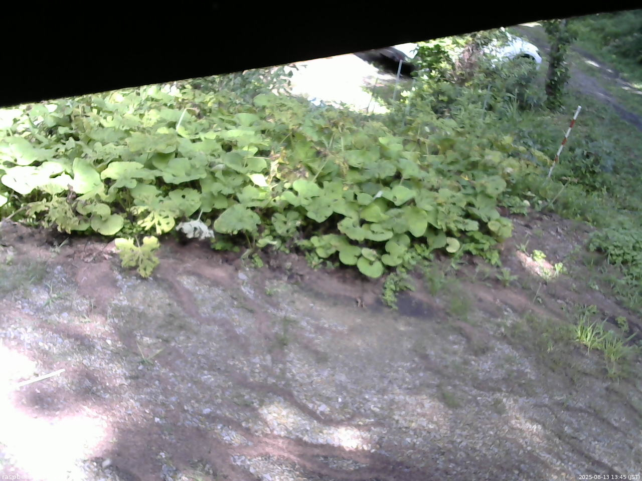 長野県菅平高原 ゆたか山荘 駐車場 2025/08/13 13:45