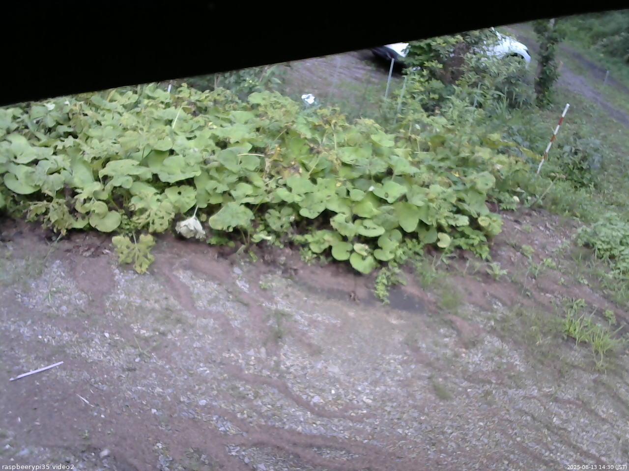 長野県菅平高原 ゆたか山荘 駐車場 2025/08/13 14:30