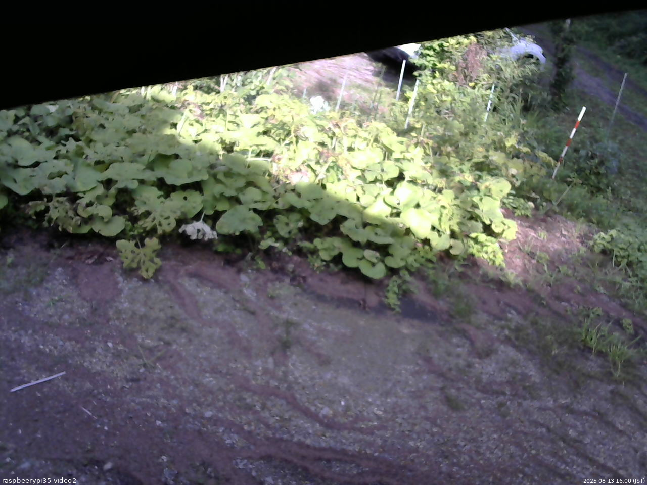 長野県菅平高原 ゆたか山荘 駐車場 2025/08/13 16:00