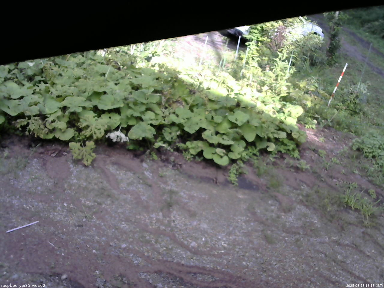 長野県菅平高原 ゆたか山荘 駐車場 2025/08/13 16:15