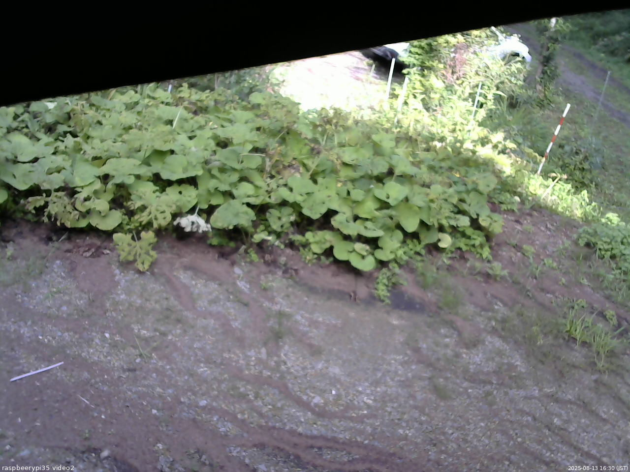 長野県菅平高原 ゆたか山荘 駐車場 2025/08/13 16:30