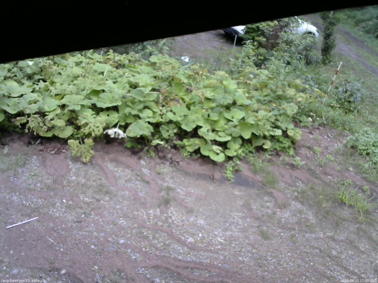 長野県菅平高原 ゆたか山荘 駐車場 2025/08/13 17:00
