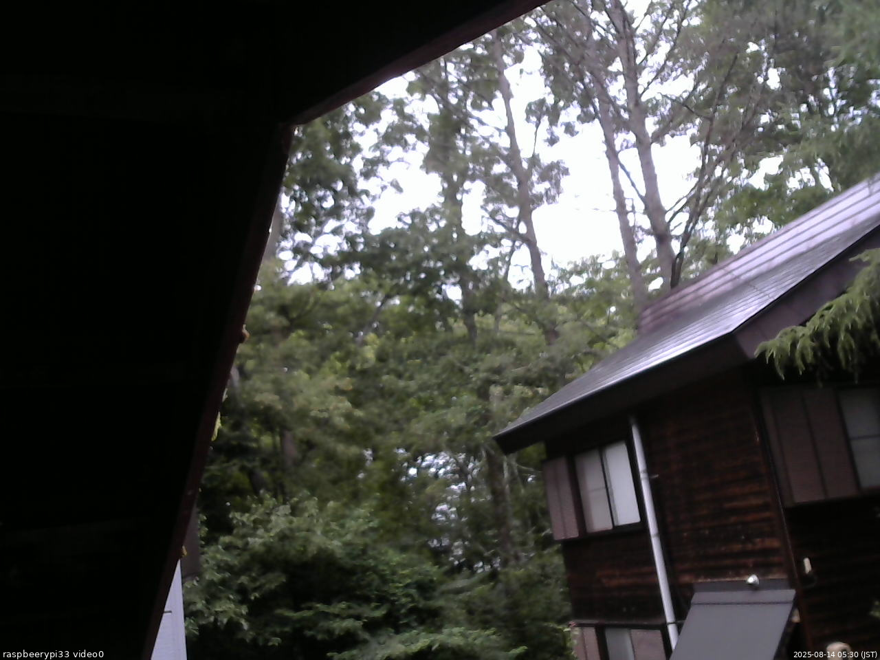 長野県菅平高原 ゆたか山荘 北側 2025/08/14 05:30