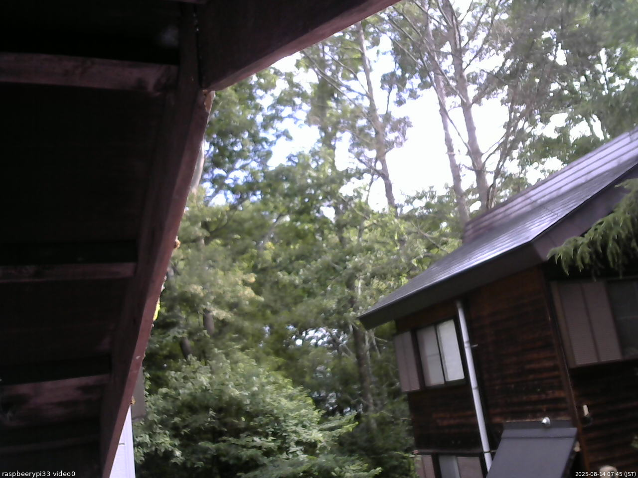 長野県菅平高原 ゆたか山荘 北側 2025/08/14 07:45