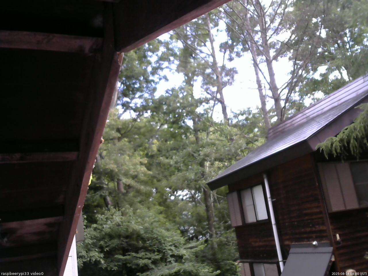 長野県菅平高原 ゆたか山荘 北側 2025/08/14 08:00