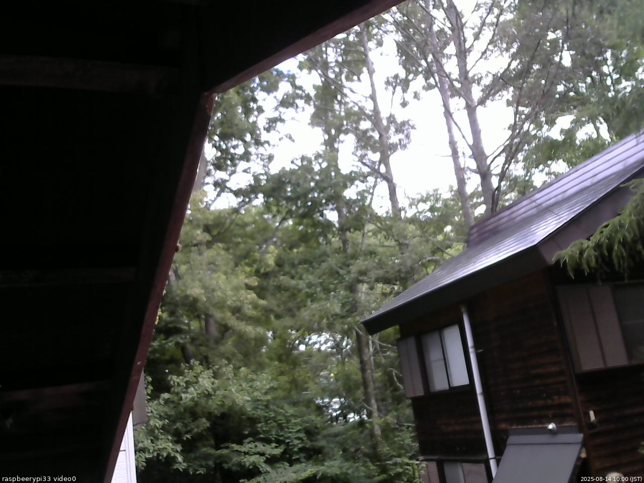 長野県菅平高原 ゆたか山荘 北側 2025/08/14 10:00