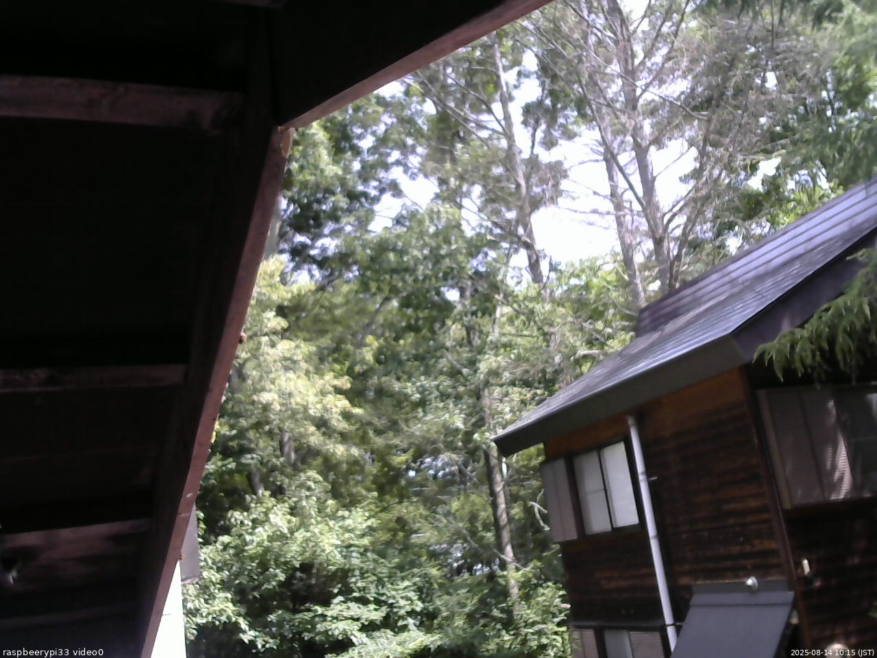 長野県菅平高原 ゆたか山荘 北側 2025/08/14 10:15