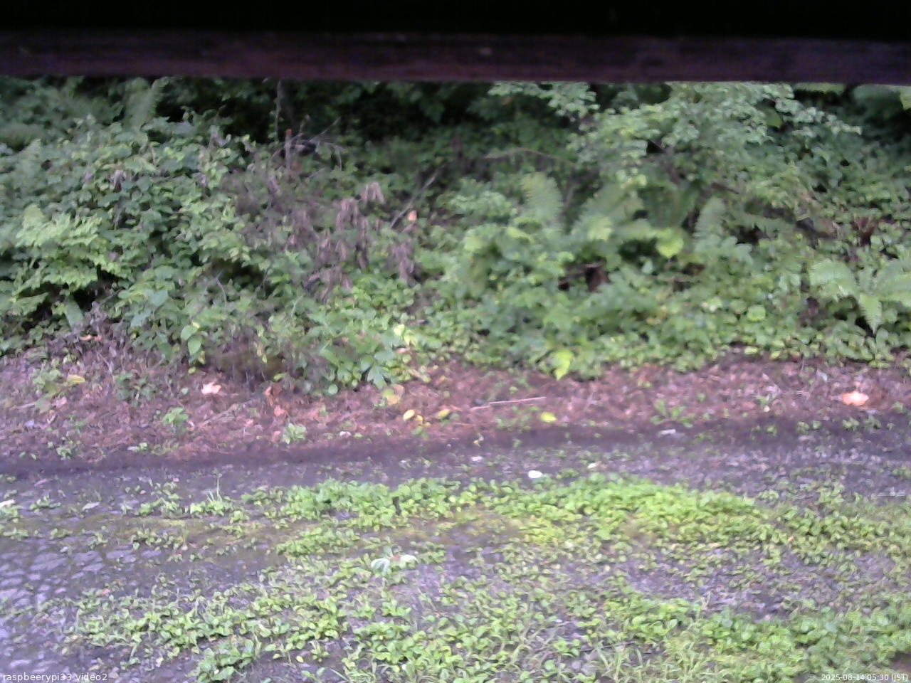 長野県菅平高原 ゆたか山荘 南側 2025/08/14 05:30