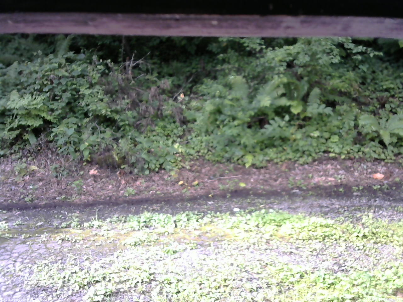 長野県菅平高原 ゆたか山荘 南側 2025/08/14 08:00