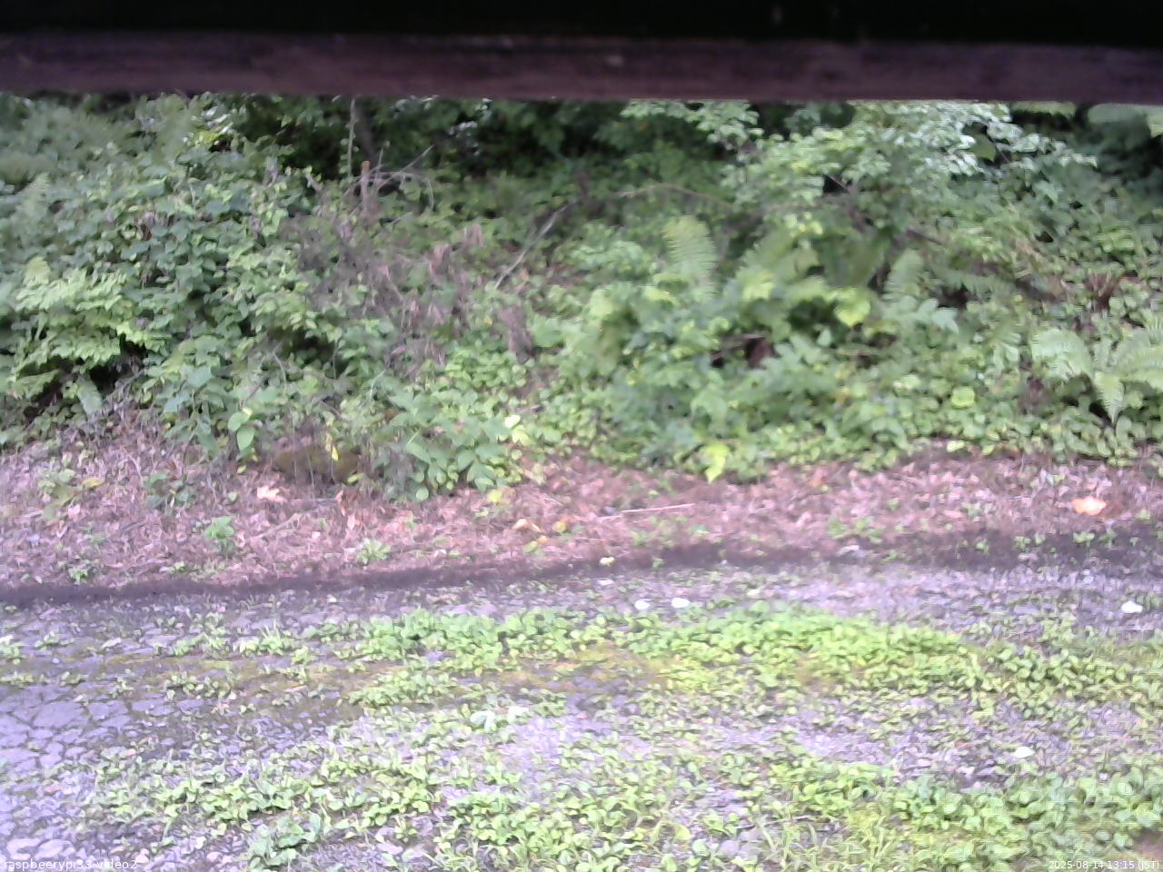 長野県菅平高原 ゆたか山荘 南側 2025/08/14 13:15
