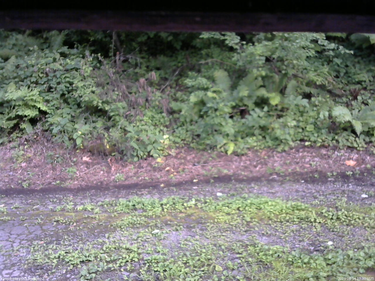 長野県菅平高原 ゆたか山荘 南側 2025/08/14 17:30