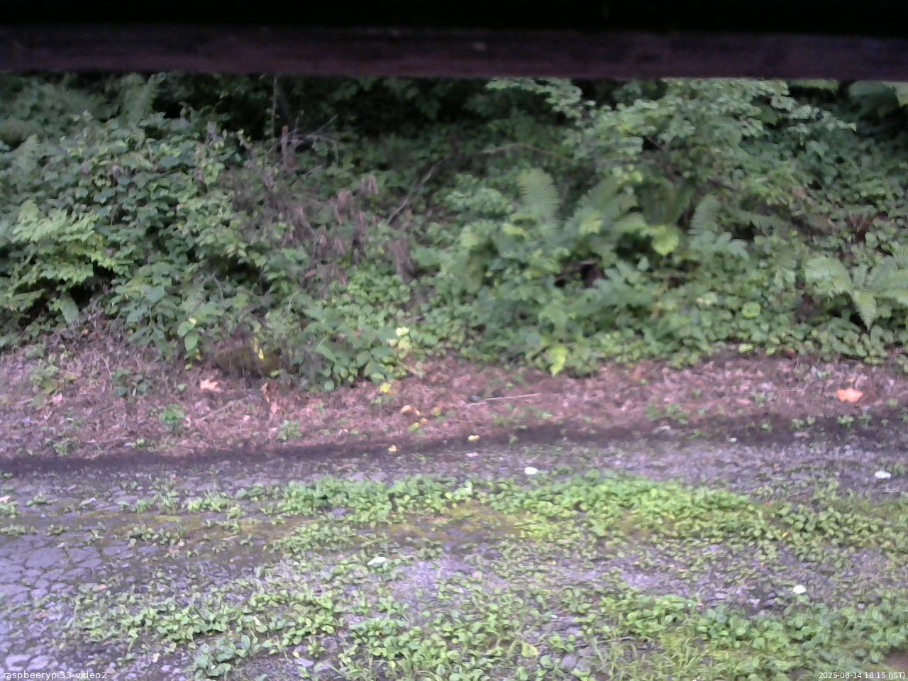 長野県菅平高原 ゆたか山荘 南側 2025/08/14 18:15