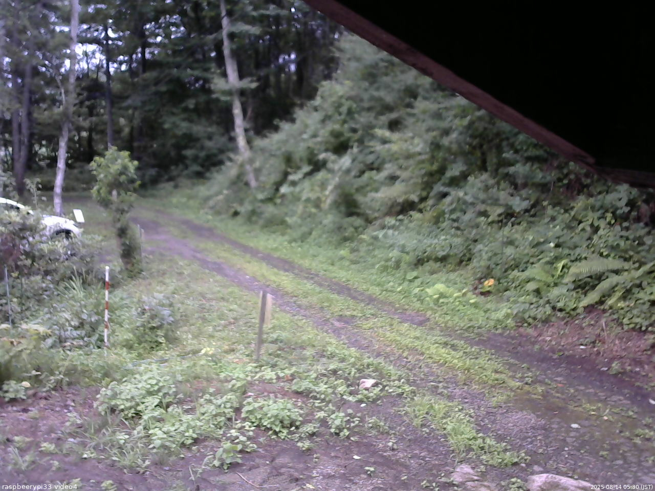 長野県菅平高原 ゆたか山荘 東側(坂下) 2025/08/14 05:30