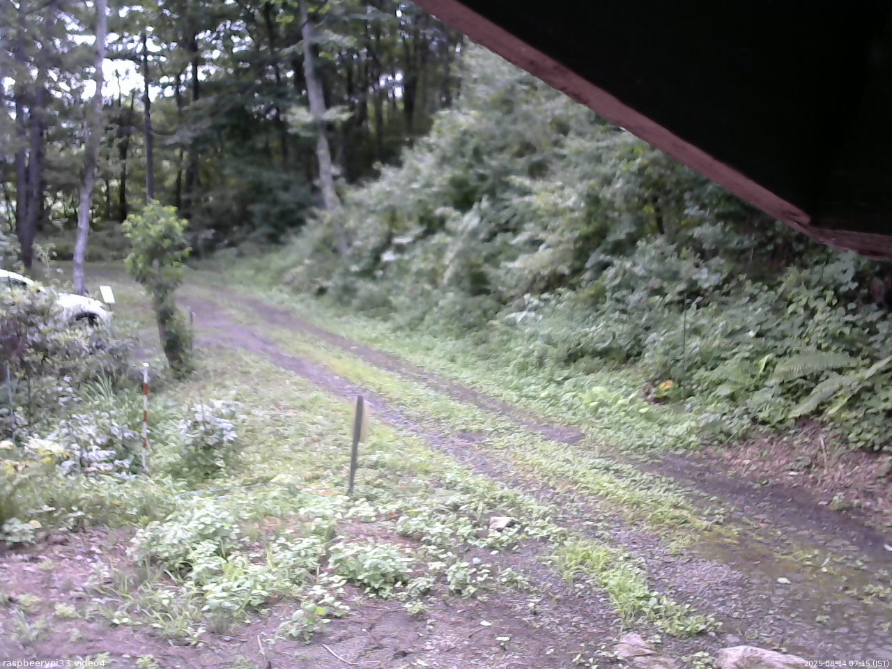 長野県菅平高原 ゆたか山荘 東側(坂下) 2025/08/14 07:15