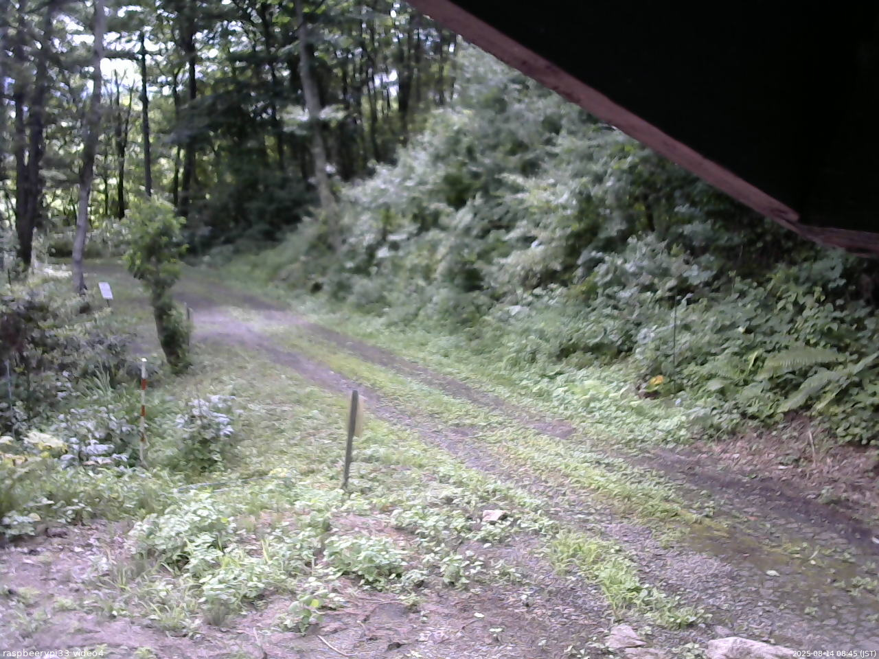 長野県菅平高原 ゆたか山荘 東側(坂下) 2025/08/14 08:45