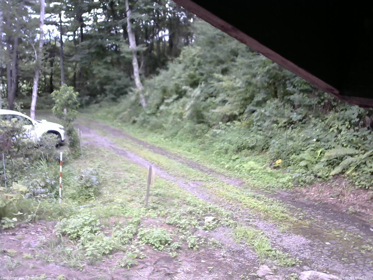 長野県菅平高原 ゆたか山荘 東側(坂下) 2025/08/14 09:45
