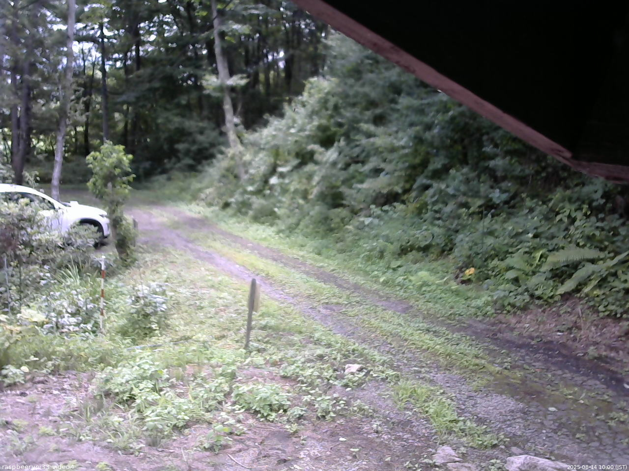 長野県菅平高原 ゆたか山荘 東側(坂下) 2025/08/14 10:00