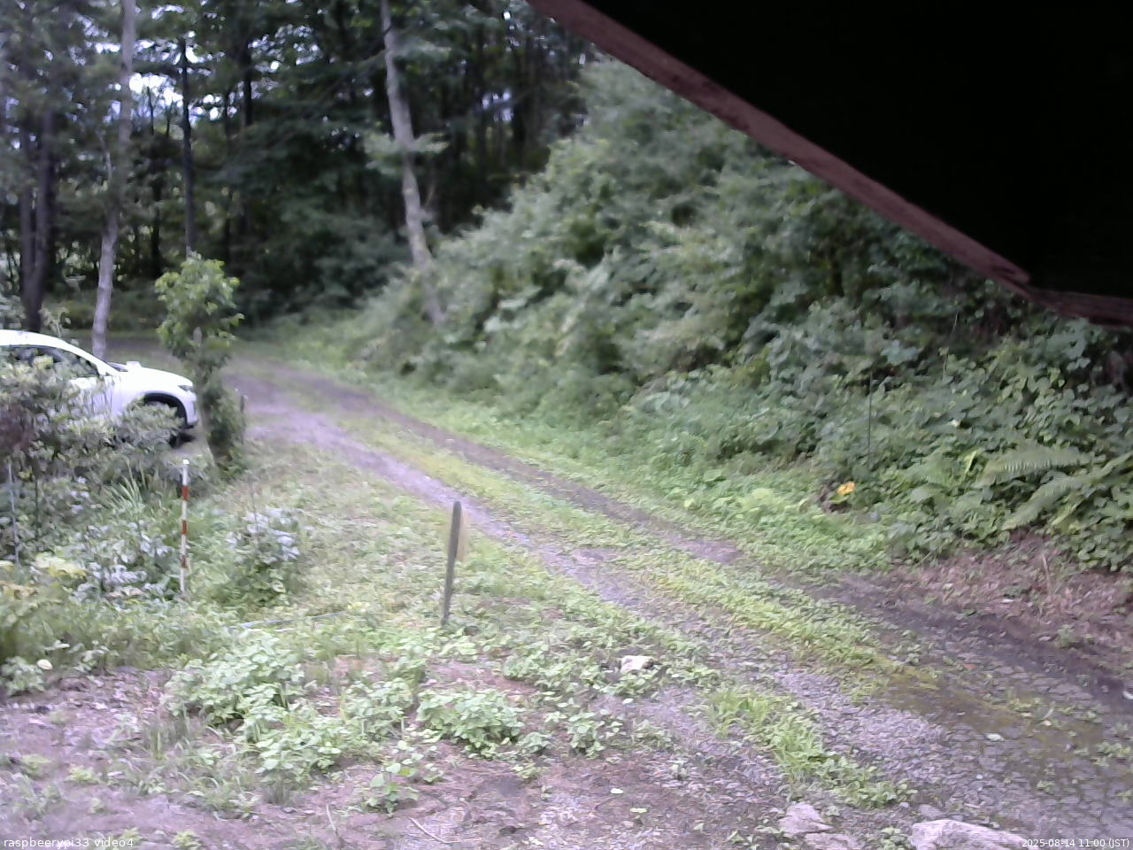 長野県菅平高原 ゆたか山荘 東側(坂下) 2025/08/14 11:00