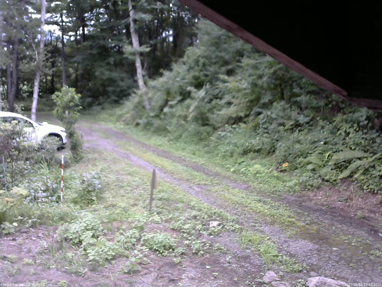 長野県菅平高原 ゆたか山荘 東側(坂下) 2025/08/14 12:15