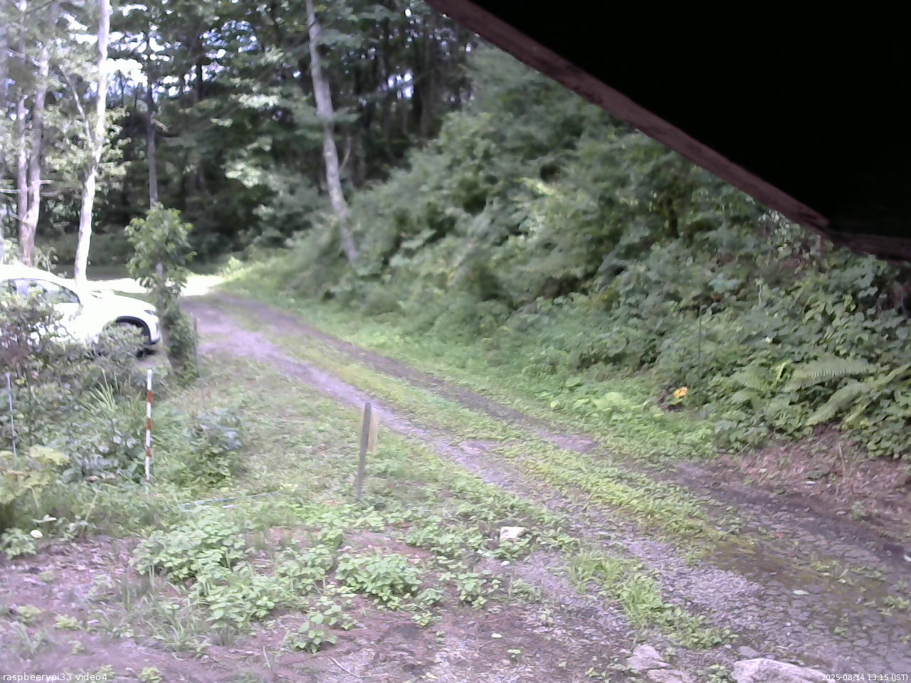 長野県菅平高原 ゆたか山荘 東側(坂下) 2025/08/14 13:15