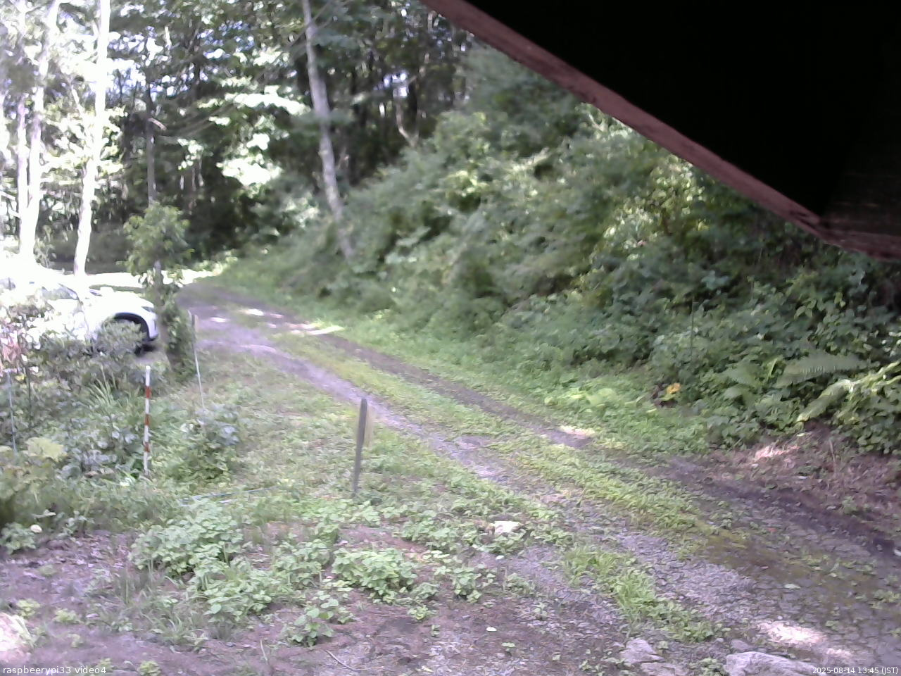 長野県菅平高原 ゆたか山荘 東側(坂下) 2025/08/14 13:45
