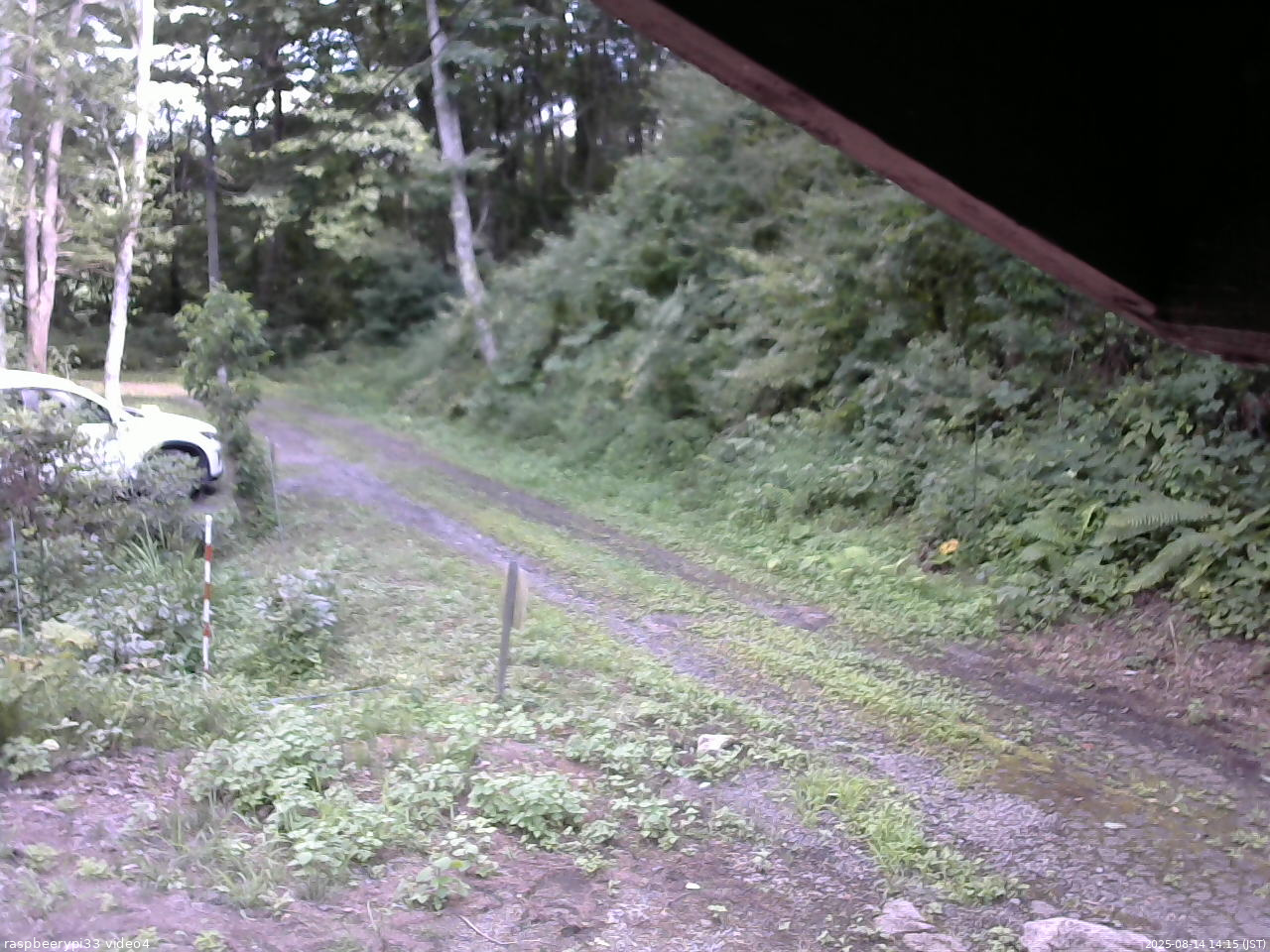 長野県菅平高原 ゆたか山荘 東側(坂下) 2025/08/14 14:15