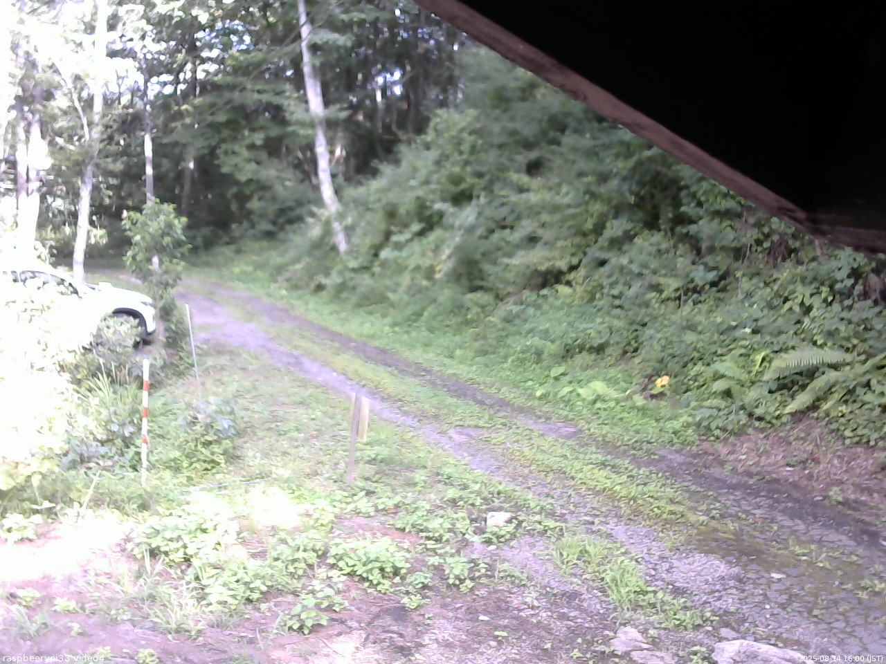 長野県菅平高原 ゆたか山荘 東側(坂下) 2025/08/14 16:00