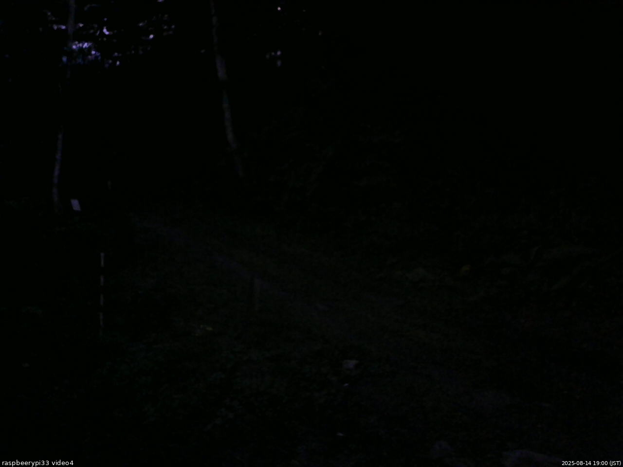 長野県菅平高原 ゆたか山荘 東側(坂下) 2025/08/14 19:00