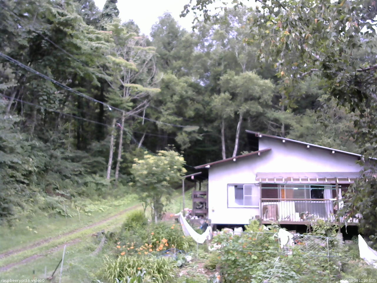 長野県菅平高原 ゆたか山荘 西側(坂上) 2025/08/14 11:00