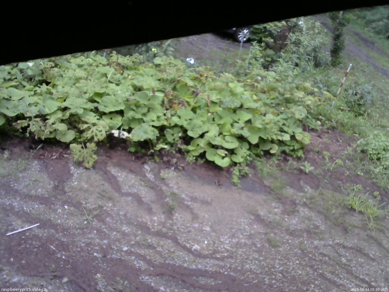 長野県菅平高原 ゆたか山荘 駐車場 2025/08/14 05:30