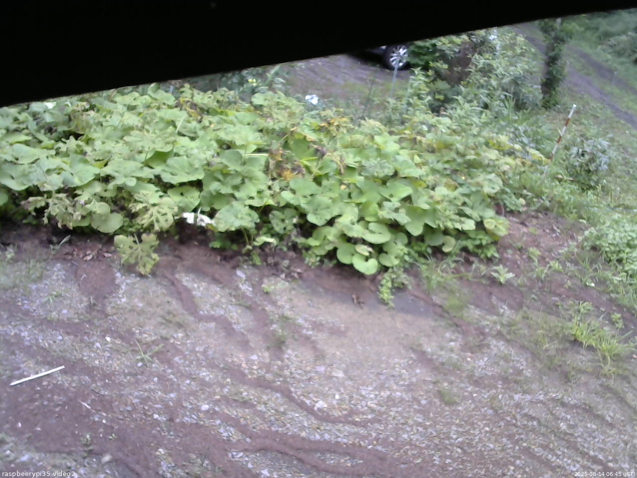 長野県菅平高原 ゆたか山荘 駐車場 2025/08/14 06:45