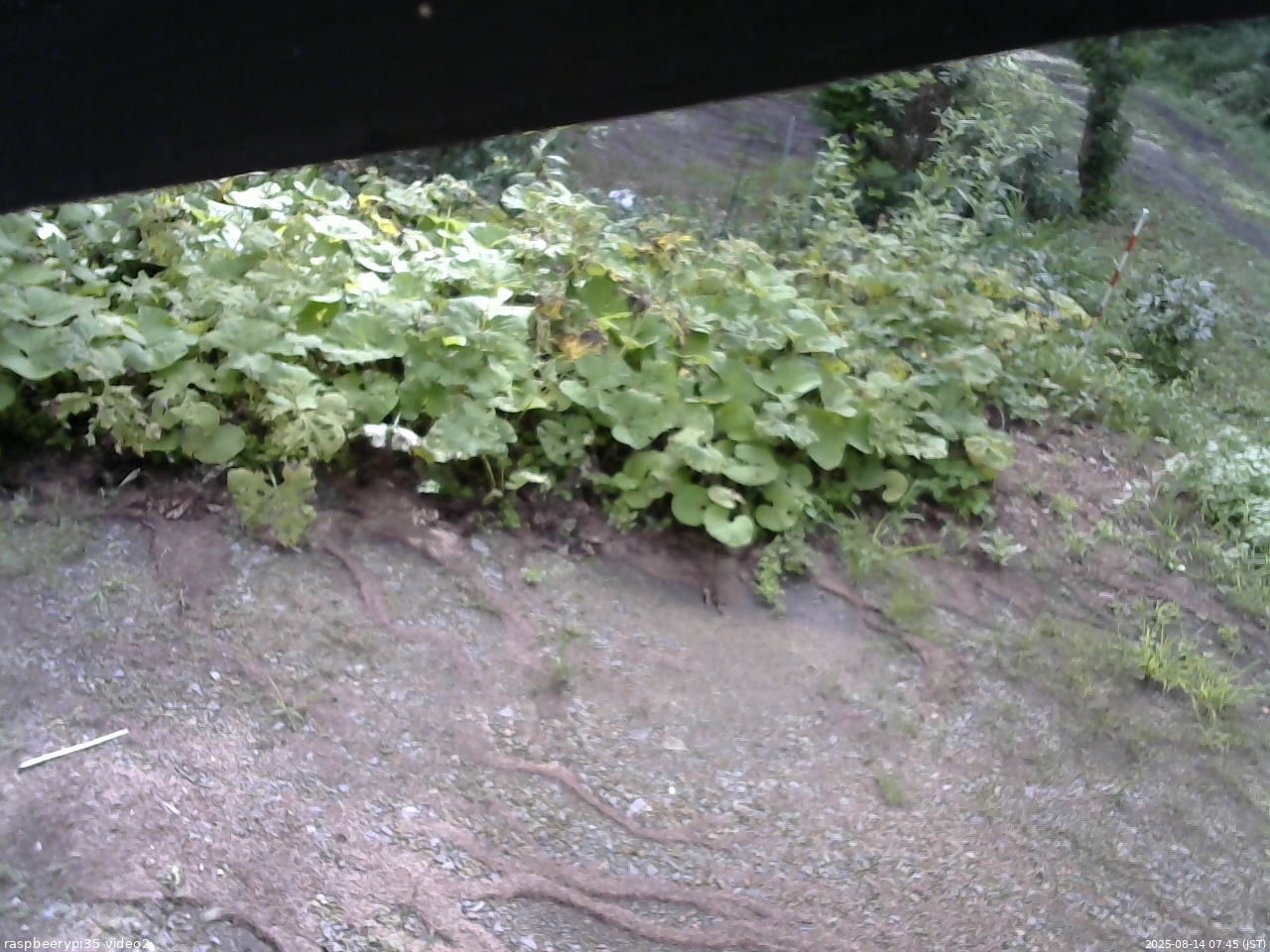 長野県菅平高原 ゆたか山荘 駐車場 2025/08/14 07:45