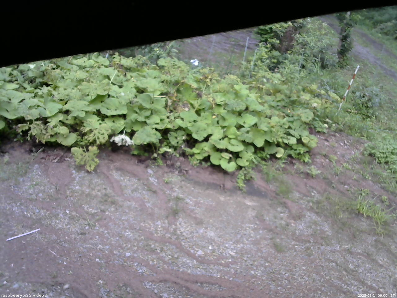 長野県菅平高原 ゆたか山荘 駐車場 2025/08/14 09:00