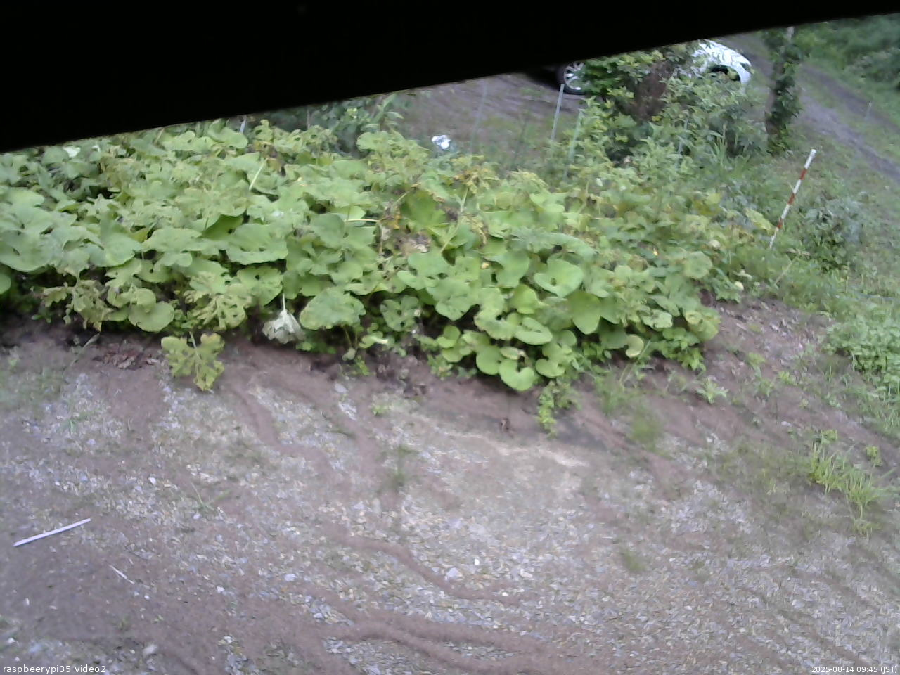長野県菅平高原 ゆたか山荘 駐車場 2025/08/14 09:45